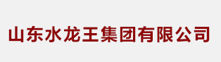山东水龙王集团有限公司